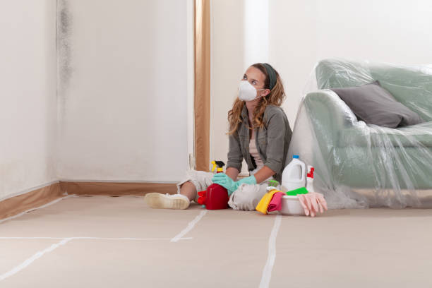 Reliable Black Mold Remediation contractor in Dallas, GA by 24 Hour Mold Removal